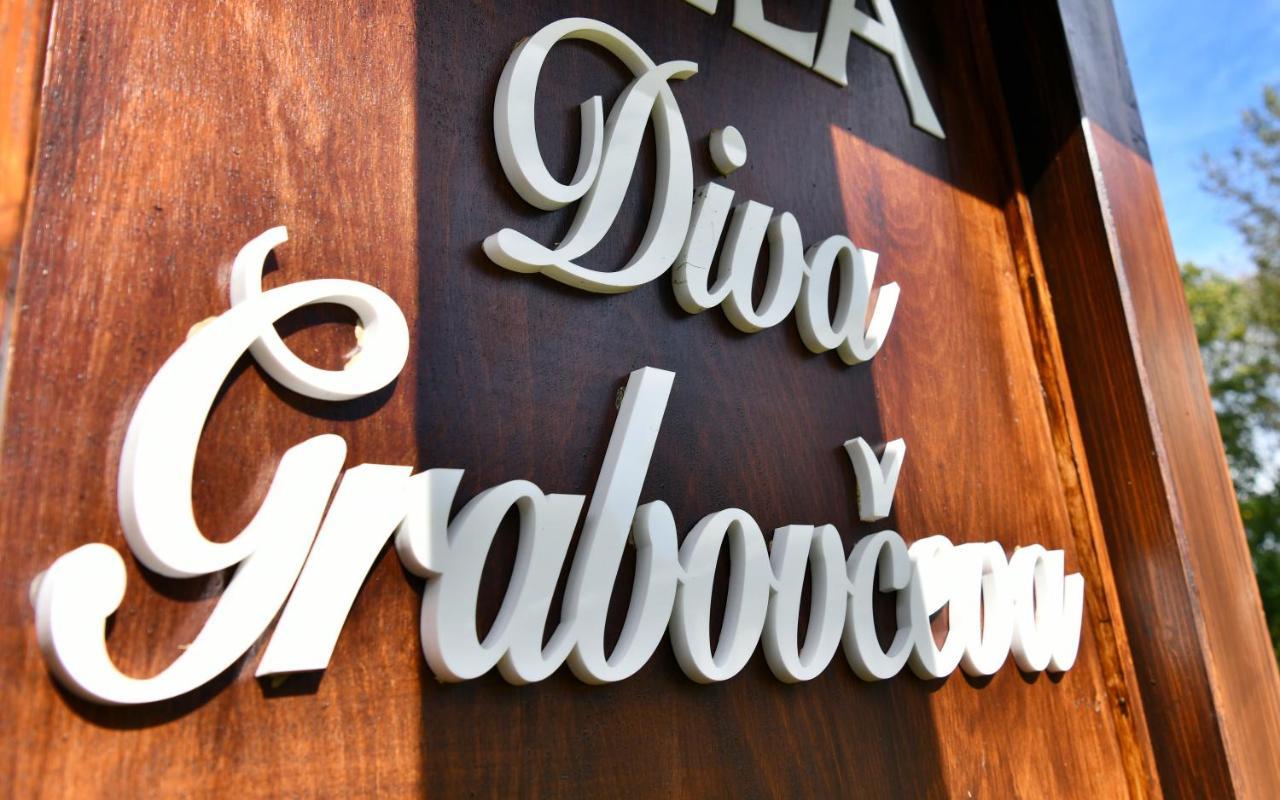 Villa Diva Grabovceva 라코비카 외부 사진